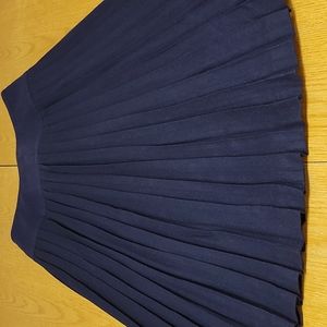 VBN Collectibles Navy Blue 100% Pure Wool Pleated Skirt Waistline 30"